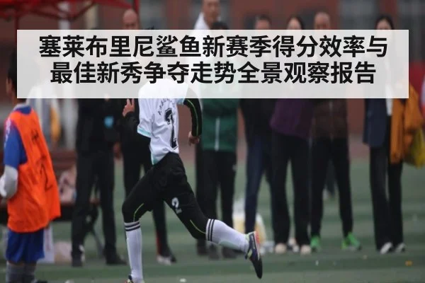 塞莱布里尼鲨鱼新赛季得分效率与最佳新秀争夺走势全景观察报告