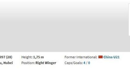 bob半岛体育-德转：原石家庄功夫球员高华泽、王靖斌加盟广东广州豹