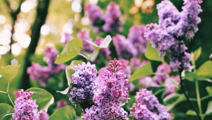 bob半岛体育-今年财运翻身！这3个生肖苦尽甘来，赚钱比以前轻松多了！